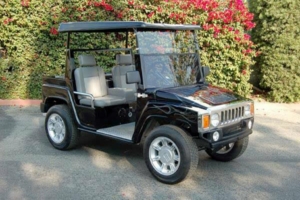 affordable golf cart rental, golf cart rent santa rosa beach